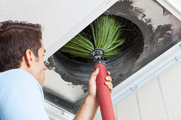 Best Affordable Duct Cleaning Services  in Centralia, MO